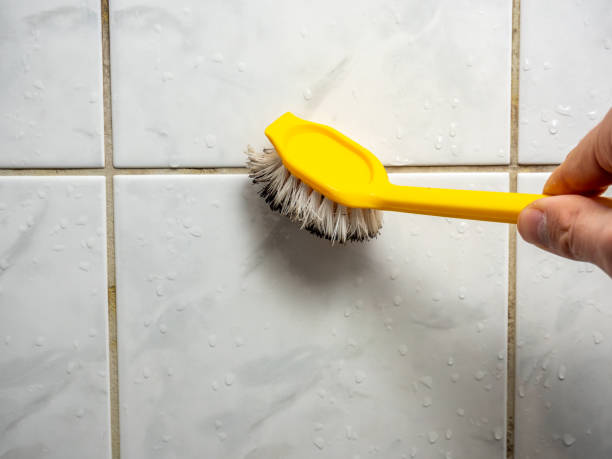 Best Mold Removal Near Me  in Mastic, NY