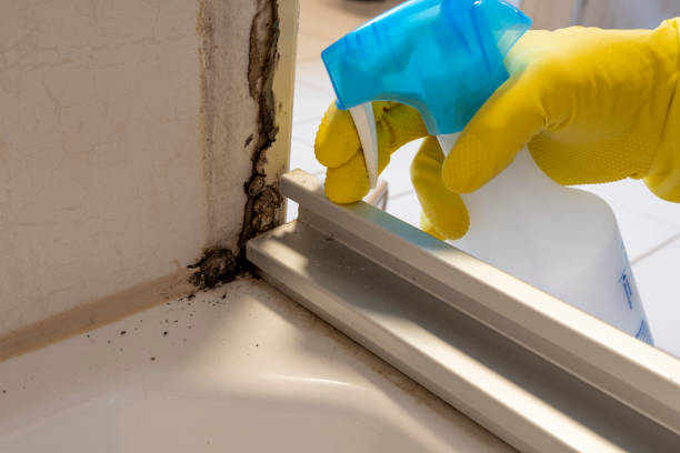 Mold Testing and Removal in Mastic, NY