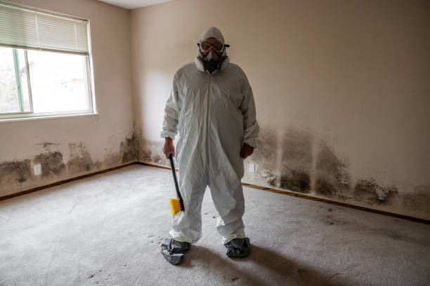 Best Attic Mold Removal  in Mastic, NY